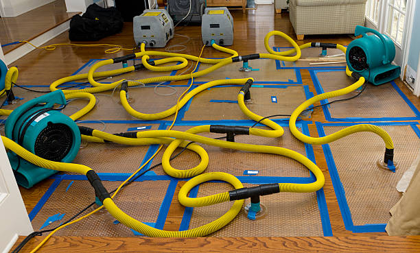 Professional Sewage Cleanup technician working in Pedro, OH